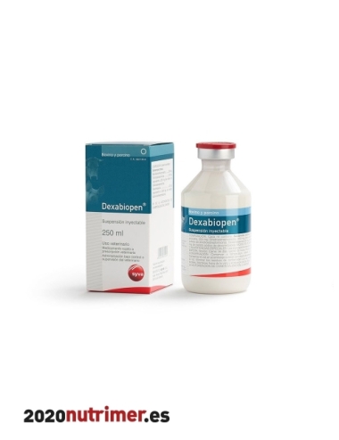 DEXABIOPEN (250ml)| Antibiótico