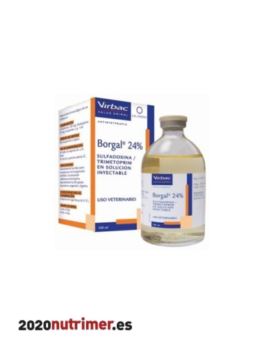 BORGAL 24% 100 ML.| Antibacteriano