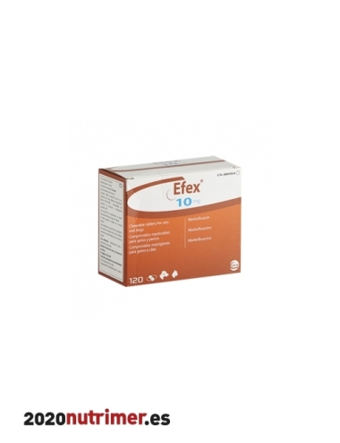 EFEX 10 mg. 120 past.| Antibacteriano