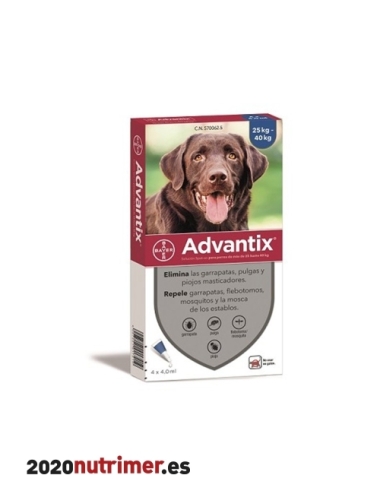 ADVANTIX  25Kg 6 pip |  Antiparasitarios