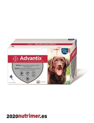 ADVANTIX 25Kg 24 pip |  Antiparasitarios