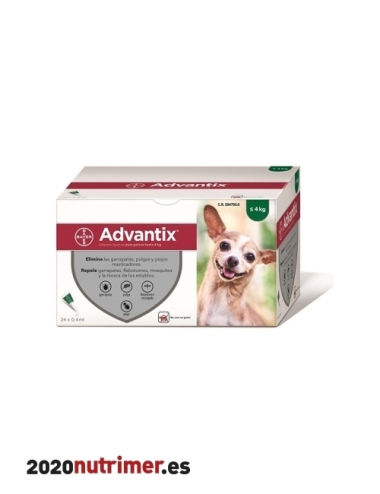 ADVANTIX 0-4Kg 24 pip |  Antiparasitarios