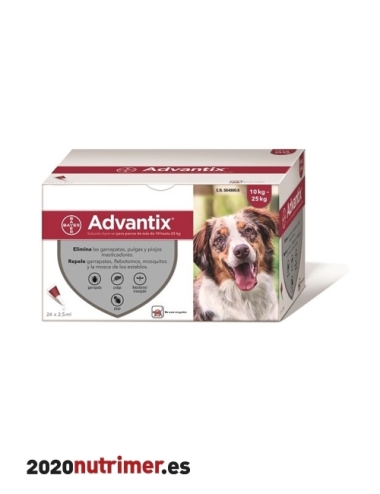 ADVANTIX 10-25Kg 24 pip |  Antiparasitarios