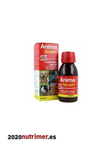 ANIMA STRATH 100 ML |  Nutricional