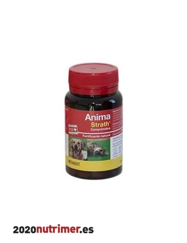 ANIMA STRATH 120 comp |  Nutricional