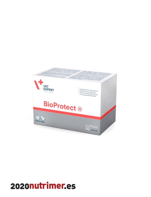 BIOPROTECT 60 Caps TOff |  Gastrointestinal