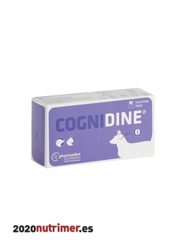 COGNIDINE 60 comp |  Nutricional