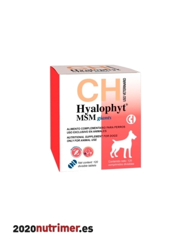 HYALOPHYT MSM GIANTS 120 C |  Otros medicamentos