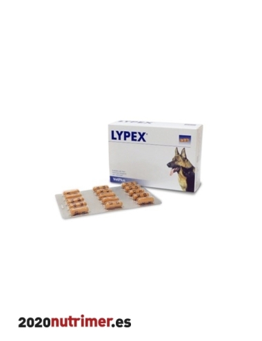 LYPEX 60 CAP |  Otros medicamentos