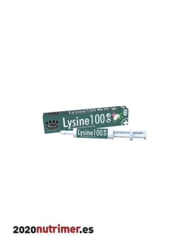 LYSINE 30 Ml |  Gastrointestinal