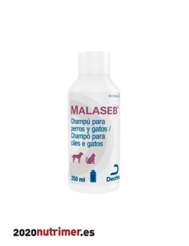 MALASEB CHAMPU 250ML |  Dermatologia