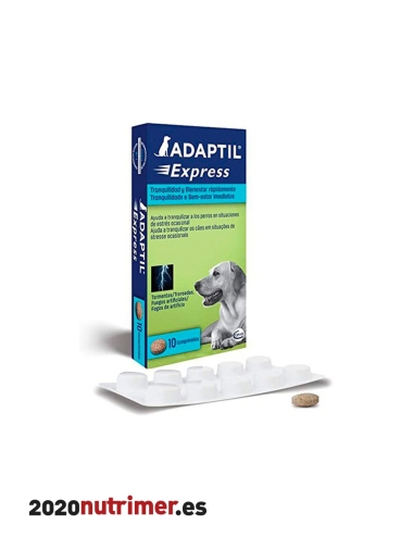 ADAPTIL Oral 10 Comp |  Neurologicos