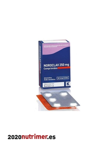 NOROCLAV 250 mg| Antiparasitarios