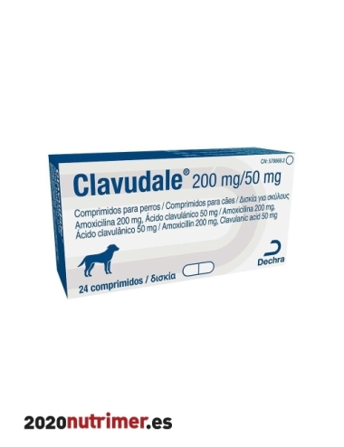 CLAVUDALE 250MG 24 COMPRIMDOS | Antibioticos