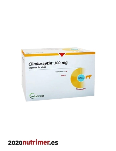 CLINDASEPTIN "300 Mg" (100 Comp) | Antibioticos