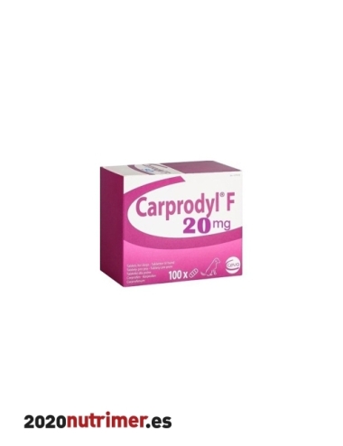 CARPRODYL 20 Mg (100 Comp) | Antiflamatorios