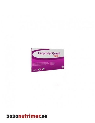 CARPRODYL QD "120 Mg" (120 Comp) | Antiflamatorios