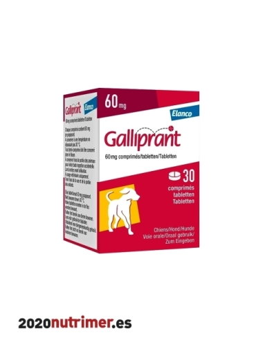 GALLIPRANT 60 MG (30 comp) | Antiflamatorios