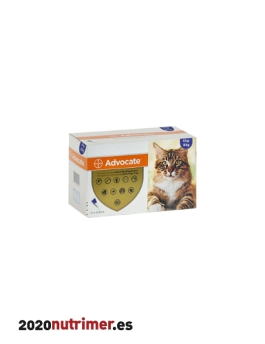 ADVOCATE GATOS 0.8 ml 21 pip| Antiparasitarios